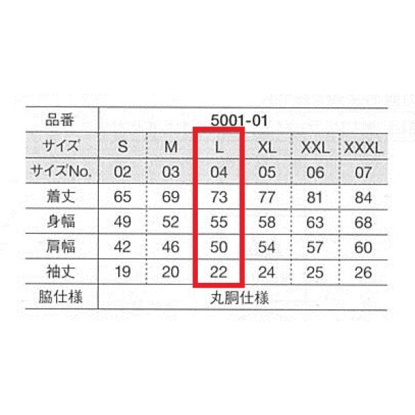画像2: Tシャツ（大人用） サイズL　　商品番号 (2)