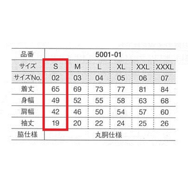 画像2: Tシャツ（大人用） サイズS　　商品番号 (2)