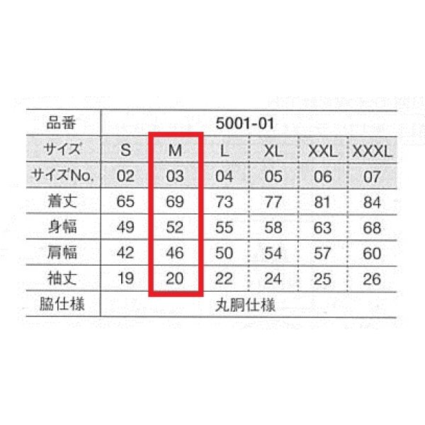 画像2: Tシャツ（大人用） サイズM　　商品番号 (2)