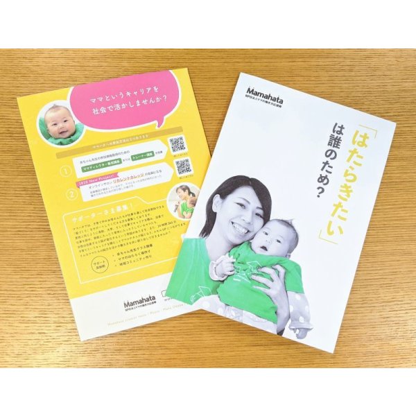 画像1: 総合パンフレット (1)